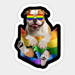 Bulldog In Pocket LGBT Pride Flag For Dog Lovers Sticker